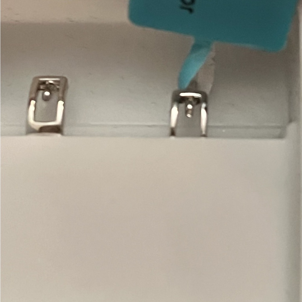 Moissanite 925 Sterling Silver Huggie Earrings 0.53 CTW VVSD (NWT) - Picture 7 of 10